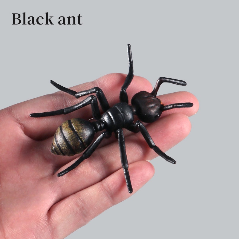 Đồ Chơi Mô Hình Côn Trùng Bằng Nhựa Độc Đáo Cho Trẻ Em