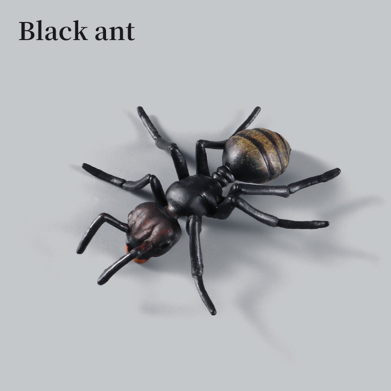 Đồ Chơi Mô Hình Côn Trùng Bằng Nhựa Độc Đáo Cho Trẻ Em