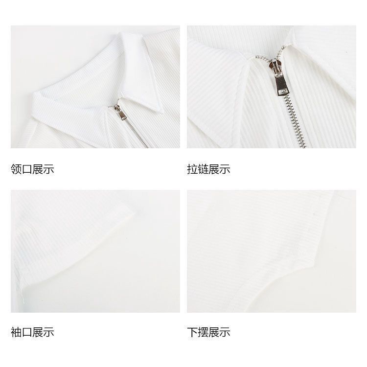 Ethelgirl Áo Thun Tay Ngắn Cổ Polo Có Khóa Kéo Đơn Giản Phong Cách Hàn Quốc Cho Nữ