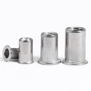 Đinh tán đầu dẹt sus304 m3m4m5m6m8m10m12 chuyên dụng