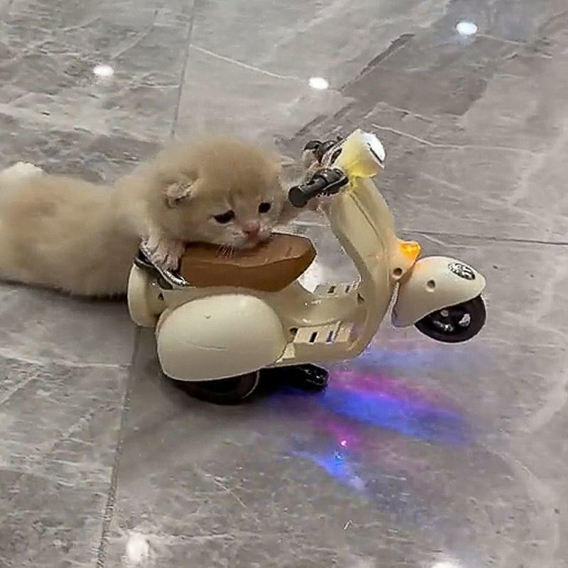 [Đồ Chơi Xe Hơi Điện Xoay Phong Cách tik tok mini Cho Mèo / Chuột hamster / Xe Máy Điện