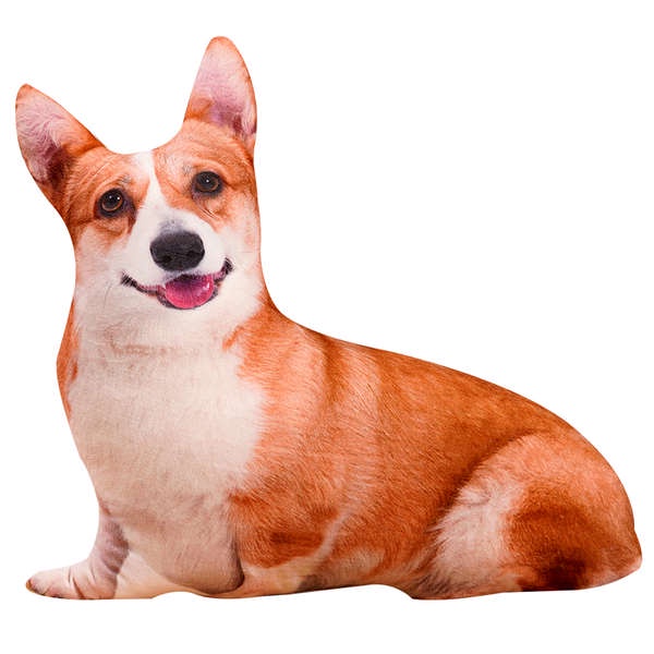Thú Nhồi Bông Hình Chú Chó Corgi 3D Đáng Yêu