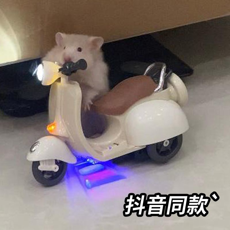 [Đồ Chơi Xe Hơi Điện Xoay Phong Cách tik tok mini Cho Mèo / Chuột hamster / Xe Máy Điện