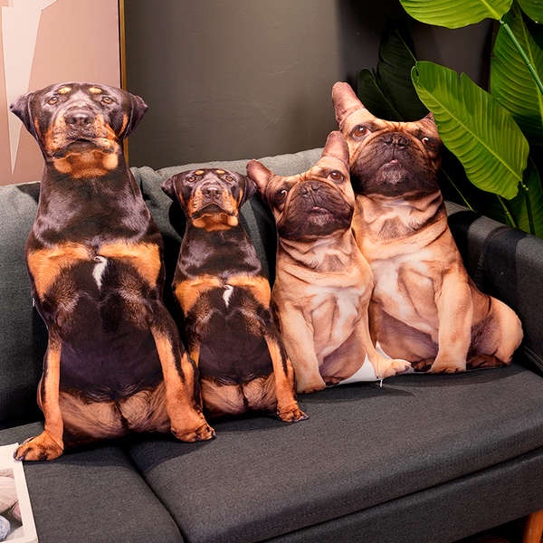 Thú Nhồi Bông Hình Chú Chó Corgi 3D Đáng Yêu