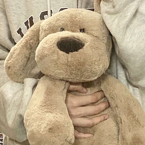 Dễ Thương Thú Nhồi Bông Hình Cún Con Xinh Xắn Dành Cho Nữ