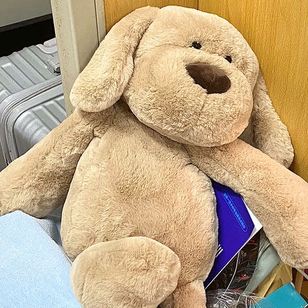 Dễ Thương Thú Nhồi Bông Hình Cún Con Xinh Xắn Dành Cho Nữ