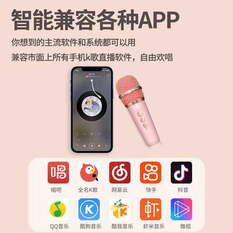 Micro bluetooth Hát karaoke Tại Nhà Nhỏ Gọn Cho Học Sinh