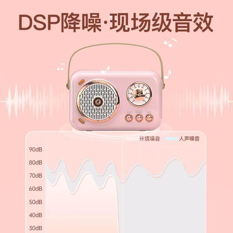 Micro bluetooth Hát karaoke Tại Nhà Nhỏ Gọn Cho Học Sinh