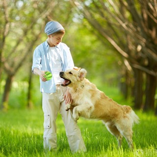 Đồ Chơi GặM HìNh Quả BóNg Cho Thú Cưng