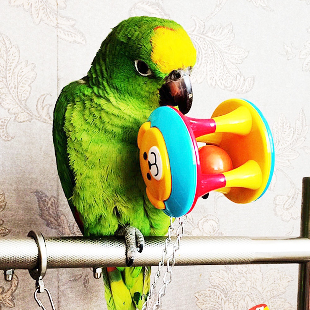 Đồ Chơi Ván Trượt Ba Màu Sắc Có Chuông Cho Vẹt