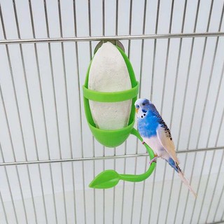 Vẹt thức ăn giá đỡ chim nhai đồ chơi vẹt đứng vẹt vẹt budgie cockatiel lồng võng xích đu đồ chơi treo xích đu lồng chim chơi đồ chơi đồ chơi 1 pc