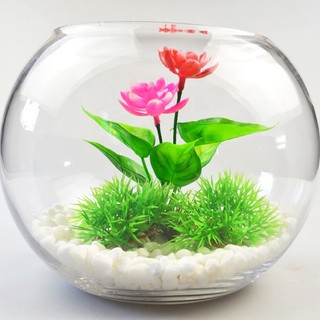 Cỏ Nhựa Nhân Tạo 10 Loại Trang Trí Bể Cá
