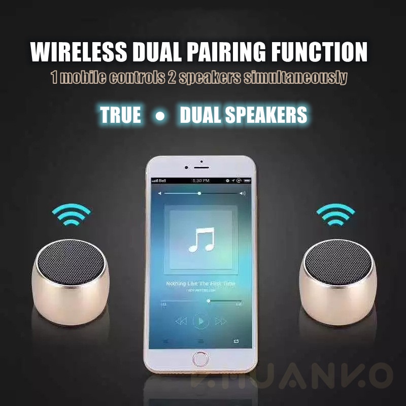 Loa Bluetooth Âm Thanh Siêu Trầm Có mic Cỡ Nhỏ Và Kích Thước Nhỏ Bằng Kim Loại Myanko WKUJ DPX3