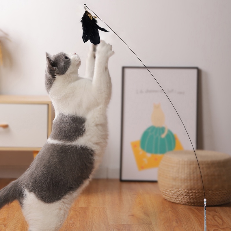 Gậy Trêu Mèo Có Giác Hút Vui Nhộn