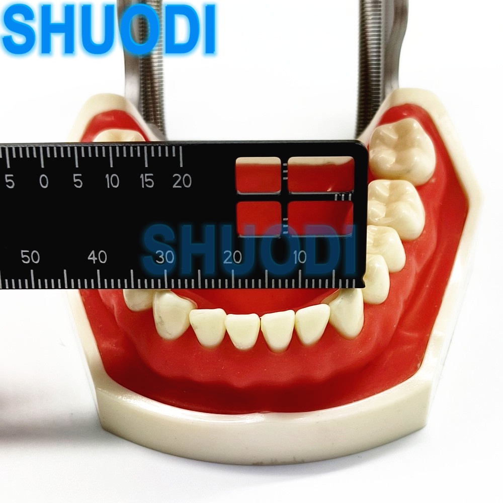 Thước Đo Răng Độ Chính Xác Cao Chuyên Dụng Cho Chụp Ảnh