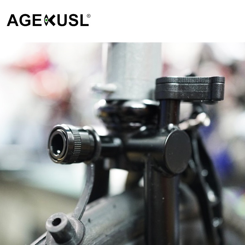 Giá Đỡ Bàn Đạp Tháo Lắp Nhanh Cho Brompton Aline Cline