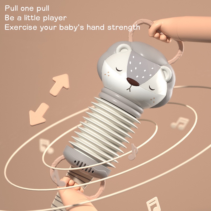 Nhạc Cụ Accordion Hình Động Vật Hoạt Hình Đáng Yêu Cho Bé