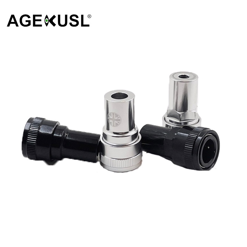 Giá Đỡ Bàn Đạp Tháo Lắp Nhanh Cho Brompton Aline Cline