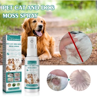 Pet Skin Treatment for dogs Pet Anti fungal Spray Dog Skin Disease Treatment for Tick and Flea