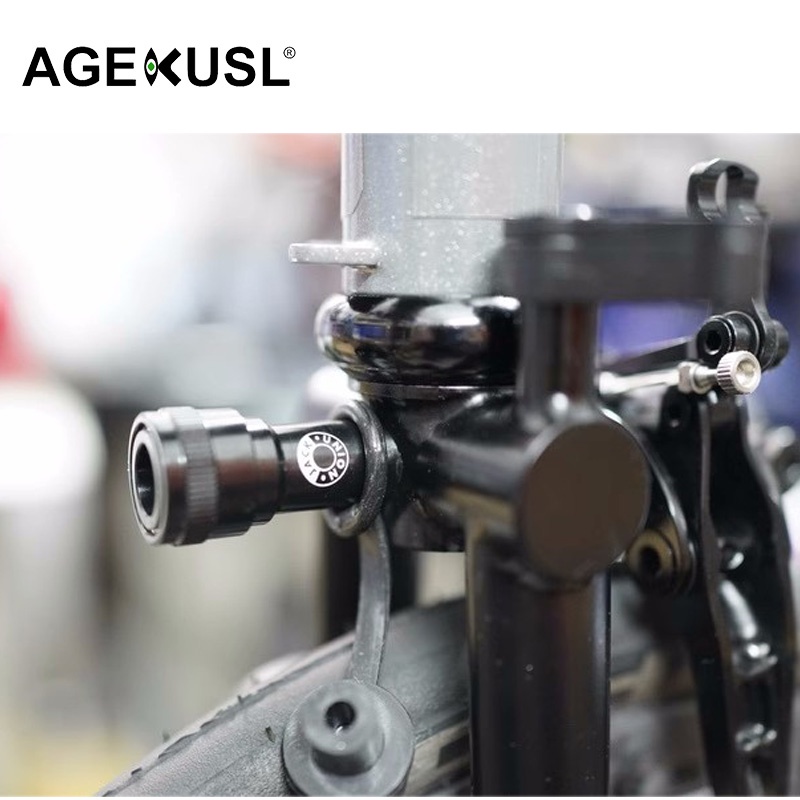 Giá Đỡ Bàn Đạp Tháo Lắp Nhanh Cho Brompton Aline Cline