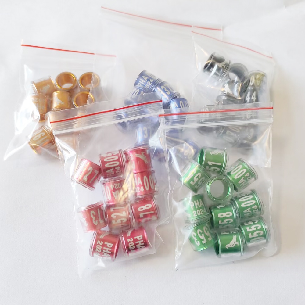 Set 50 / 30 / 10 Vòng Nhựa Trong Suốt Đeo Chân Hình Heo 2024