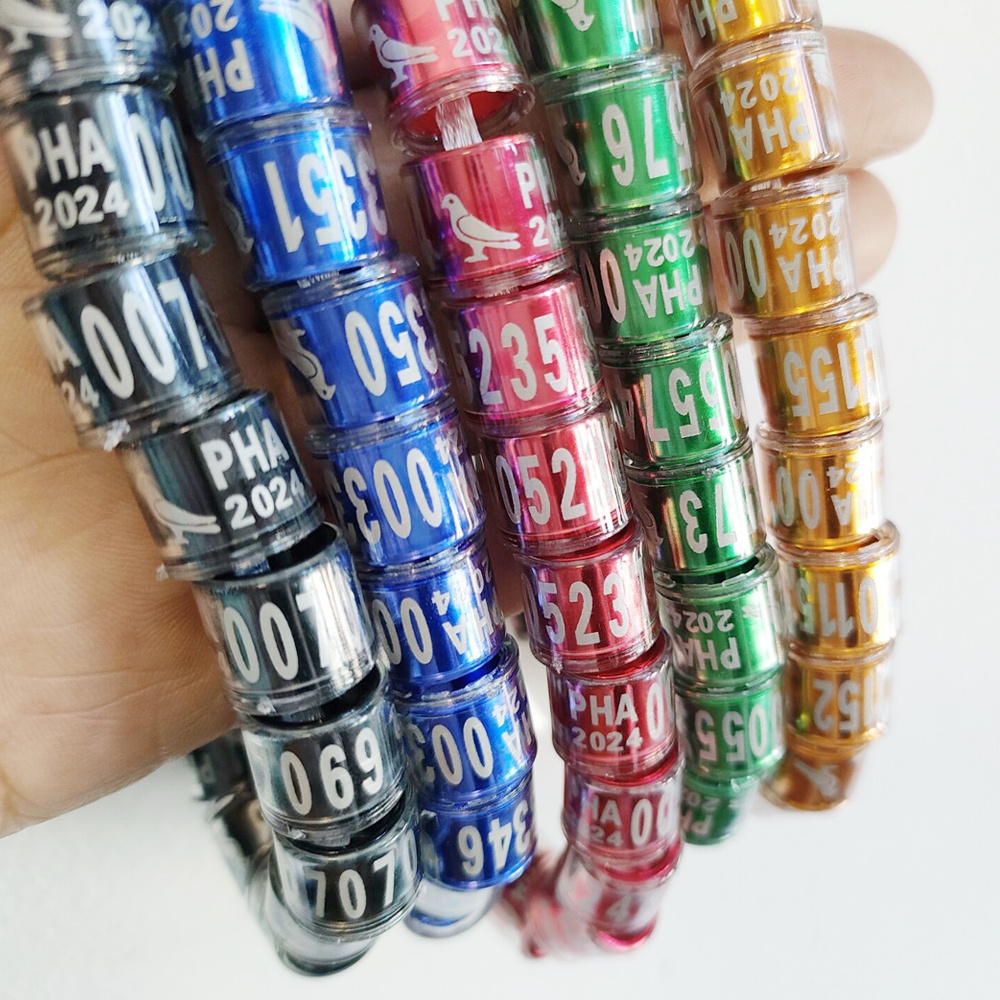 Set 50 / 30 / 10 Vòng Nhựa Trong Suốt Đeo Chân Hình Heo 2024