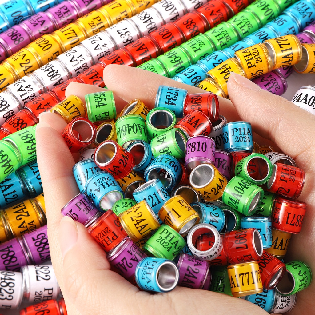 Set 50 / 10 Vòng Đeo Chân 8mm Huấn Luyện Chim Bồ Câu 2024 / 2023 PHA