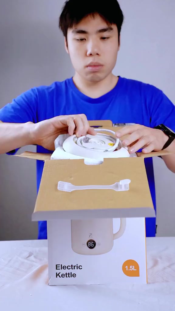 Ấm Siêu Tốc ZOLELE HK152