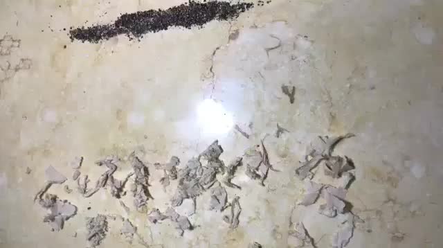 Máy Hút Bụi Cầm Tay Không Dây 5IN1