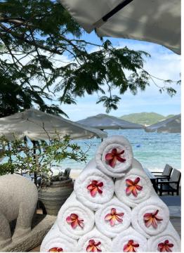 Máy in mực in, linh kiện LH