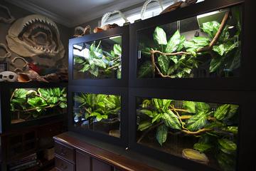 Pop Pet Shop HN và HCM