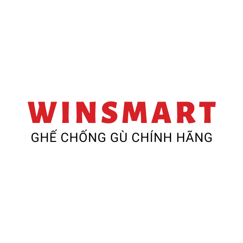 Ghế Chống Gù cao cấp WinSmart