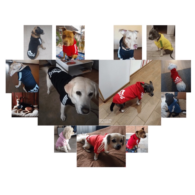 Áo nỉ hoodie Adidog cho thú cưng