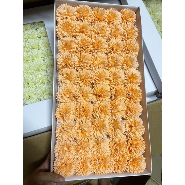 Cẩm chướng xù sáp hộp 50 bông