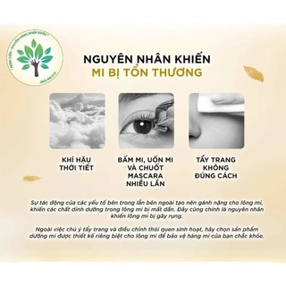 Tinh chất dưỡng mi DHC Eyelash tonic 6.5ml