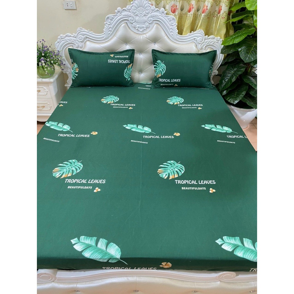 (Giá sỉ) ️ Bộ ga giường 3 món Cao Cấp Poly Cotton mẫu Thỏ nâu, loại đẹp nhiều mẫu full size (Drap giường + 2 vỏ gối)