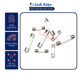 Cầu chì sứ 2A 6x30mm túi 10 con.