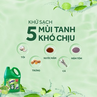 (Hỏa tốc) Nước rửa chén Sunlight Trà xanh( Khử mùi tanh) Can 3.6KG