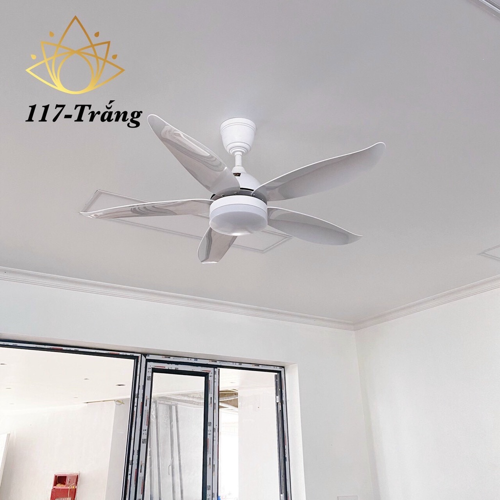 Quạt trần đèn 5 cánh ngắn cho phòng nhỏ,động cơ DC,6 tốc độ gió,quạt đảo chiều có điều khiển,BH 10 năm