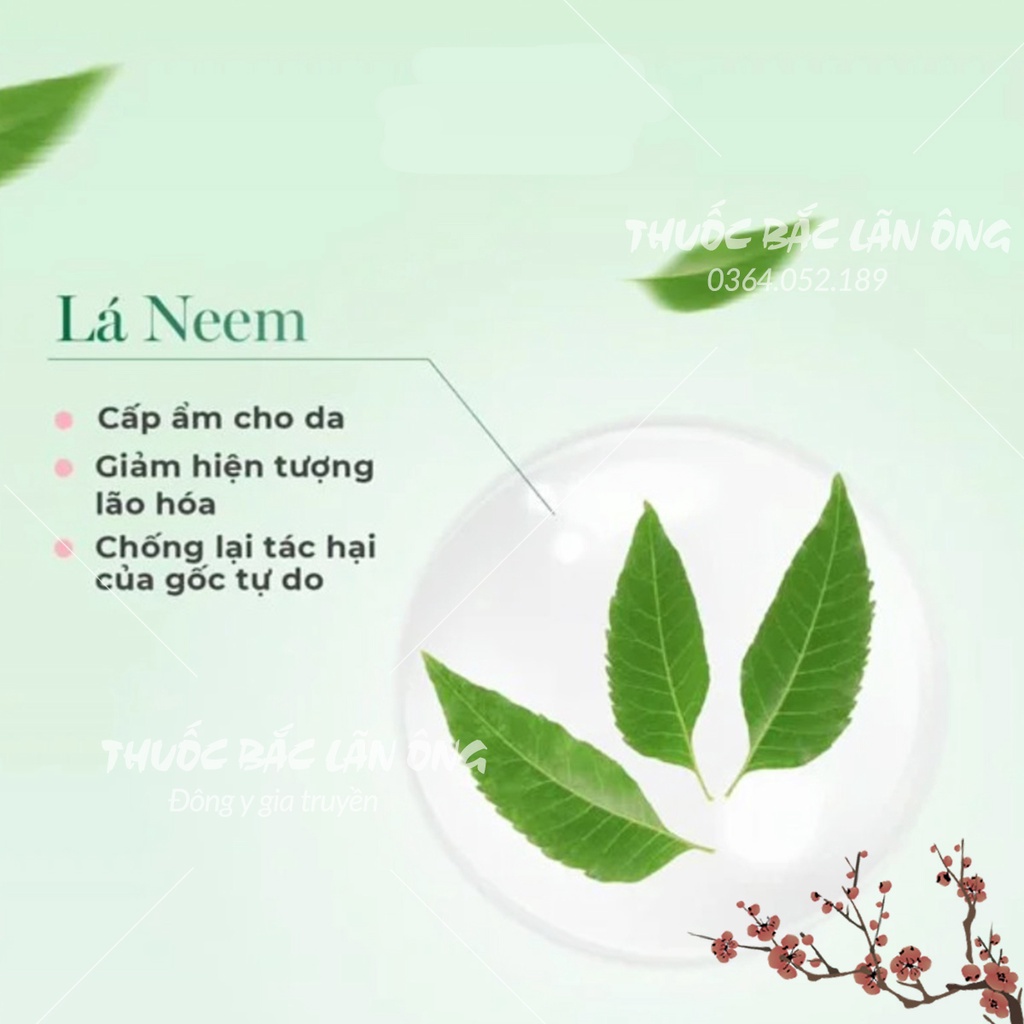 Lá neem khô 100g (Lá xoan ấn độ, lá nem kháng khuẩn)
