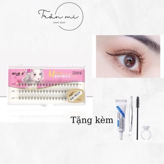 Mi chùm mỏng