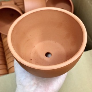 Chậu đất nung 10x7cm - chậu trứng đất nung