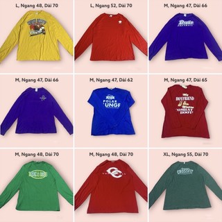 Áo thun mỹ dài tay nam secondhand có big size