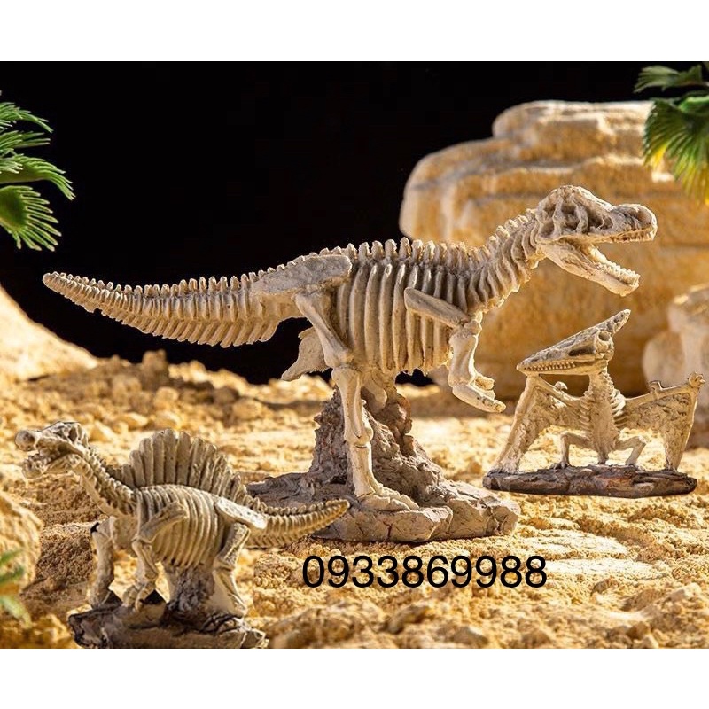 Đồ chơi đào khủng Long khảo cổ, Ai Cập và Đầu Dã Thú khảo cổ cho bé yêu khám phá