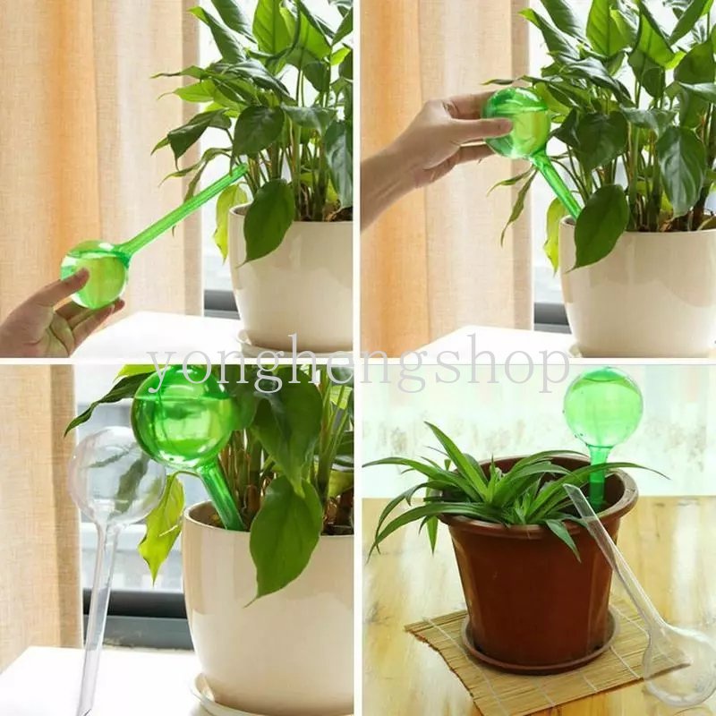 Thiết Bị Tưới Nước Tự Động Hình Quả Bóng Kính Giả Tự Động Cho Cây Cảnh