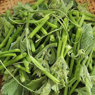 Hạt giống Bí Siêu Ngọn 20 gr