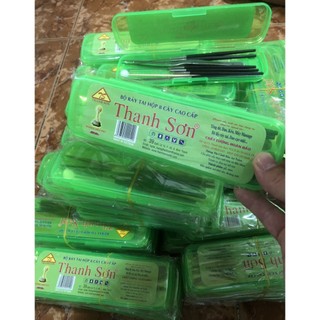 Bộ dụng cụ lấy ráy tai - móc ráy tai Thanh Sơn 8 món kèm hộp nhựa