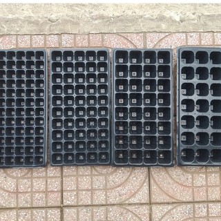 Combo 10 khay ươm, vỉ ươm hạt giống 28 lỗ, 32 lỗ, 50 lỗ, 72 lỗ, 105 lỗ, 128 lỗ, 200 lỗ