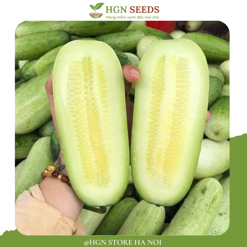 Hạt giống Dưa chuột mèo chuẩn giống đồng bào - Gói lẻ 35 hạt - Tỉ lệ nãy mầm >90%