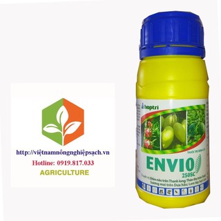 Envio 250ec – trị đốm nâu thanh long, thán thư xoài, sương mai dưa hấu, lem lép hạt trên lúa và các loại bệnh do nấm